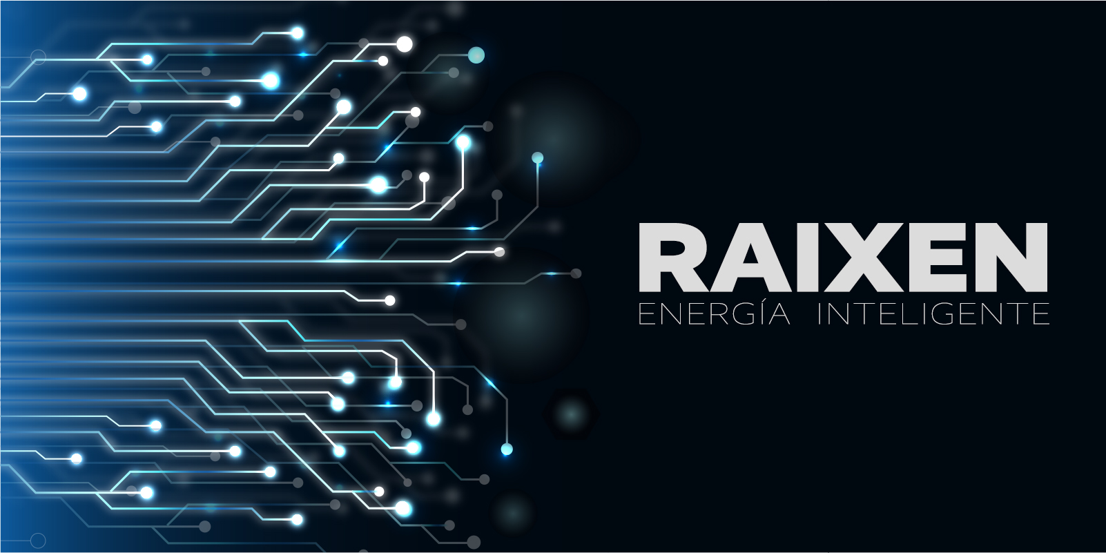 Monitoreo de generación eléctrica: RAIXEN eM